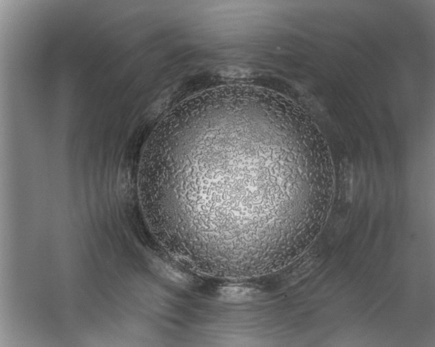 X0000060780614200511101341