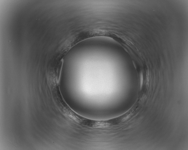 X0000060780617200511101341