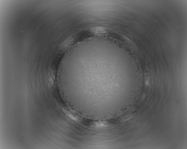 X0000060780618200511101341