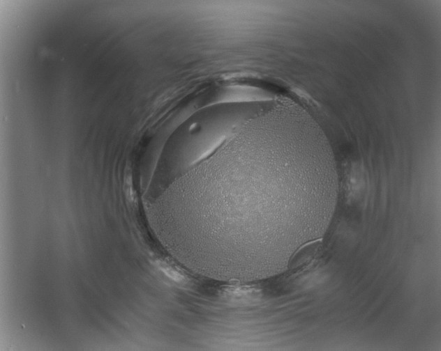 X0000060780619200511101341