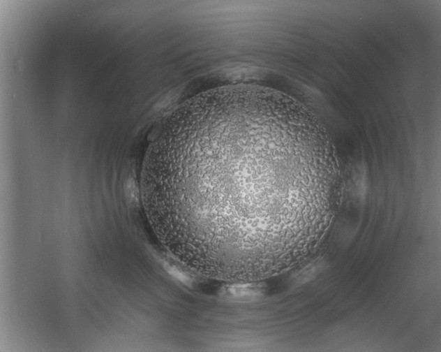 X0000060780622200511101341