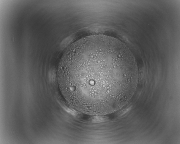 X0000060780623200511101341