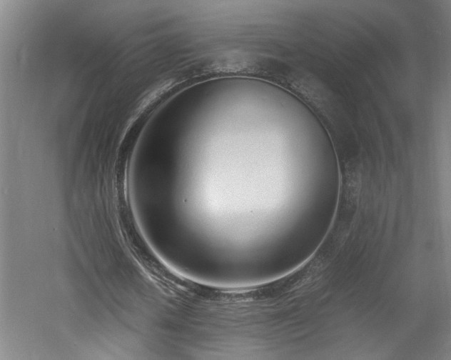 X0000060780626200511101340