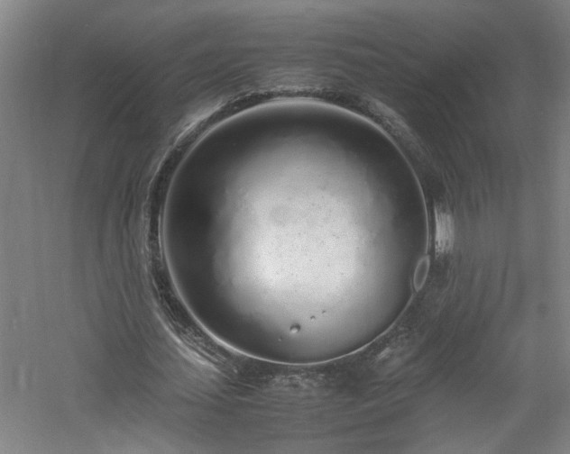 X0000060780627200511101340