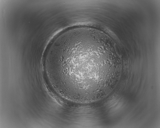 X0000060780628200511101340