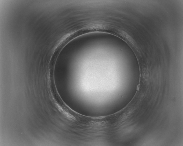 X0000060780629200511101340