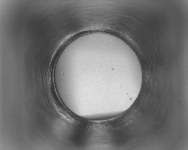 X0000060780632200511101340