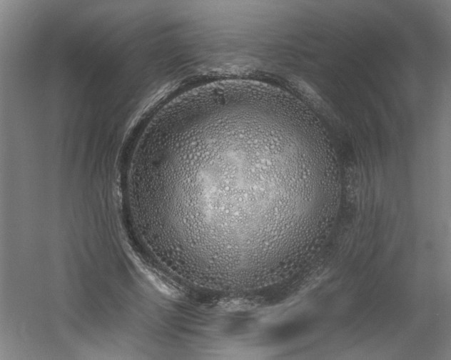 X0000060780634200511101340