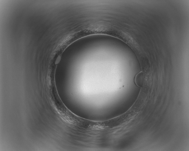 X0000060780635200511101340