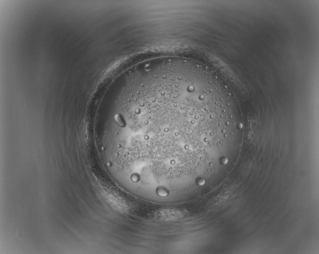 X0000060780636200511101341