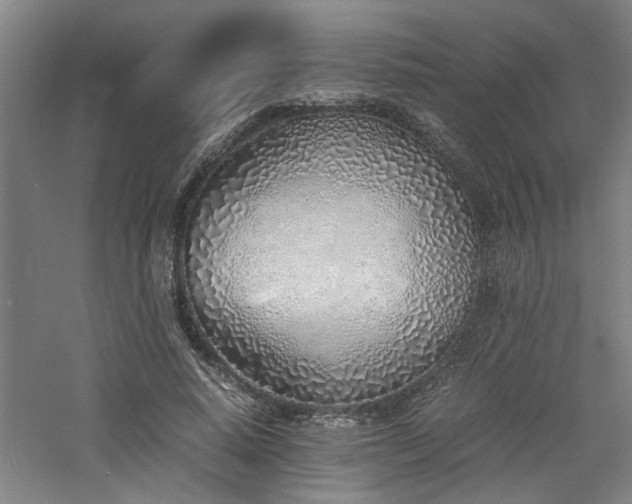 X0000060780640200511101341