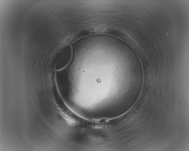 X0000060780641200511101341