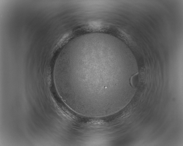 X0000060780642200511101341