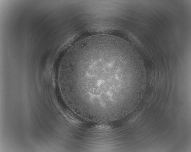 X0000060780644200511101341