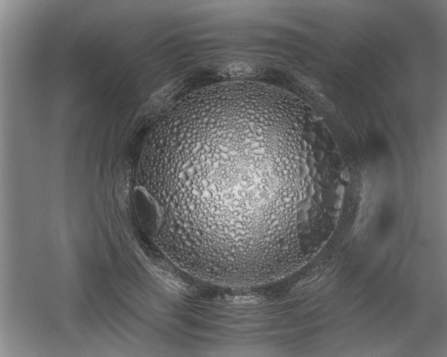 X0000060780645200511101341