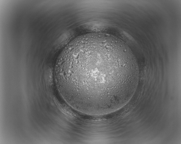 X0000060780646200511101341