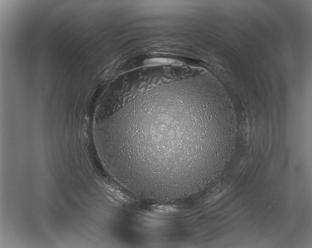 X0000060780649200511101341