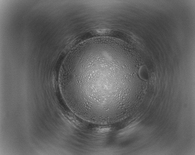 X0000060780651200511101341