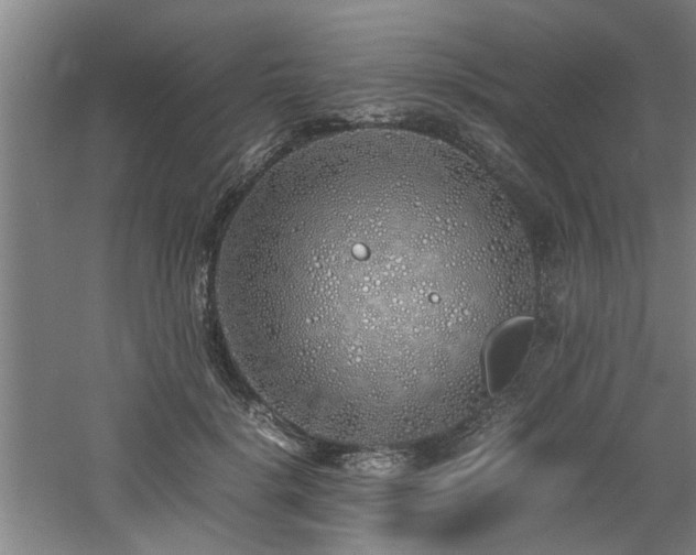 X0000060780652200511101341