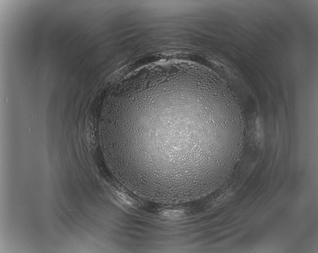 X0000060780653200511101341