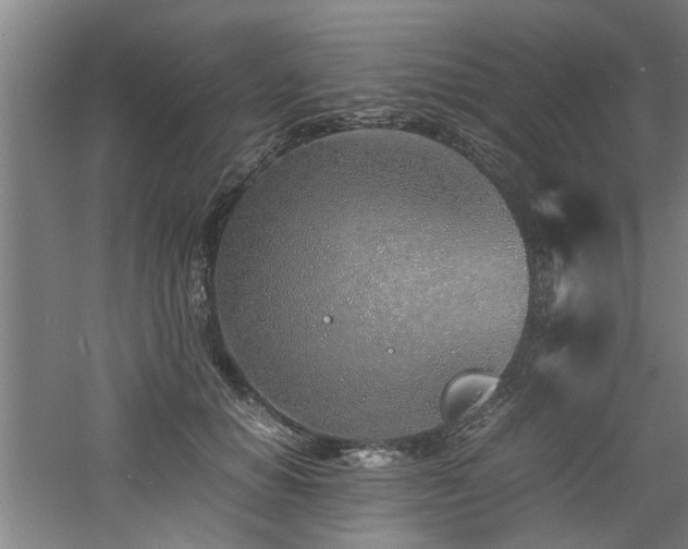 X0000060780654200511101341