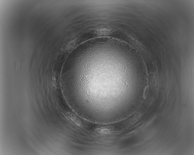 X0000060780655200511101341