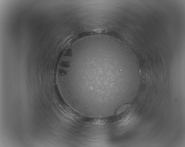 X0000060780656200511101341