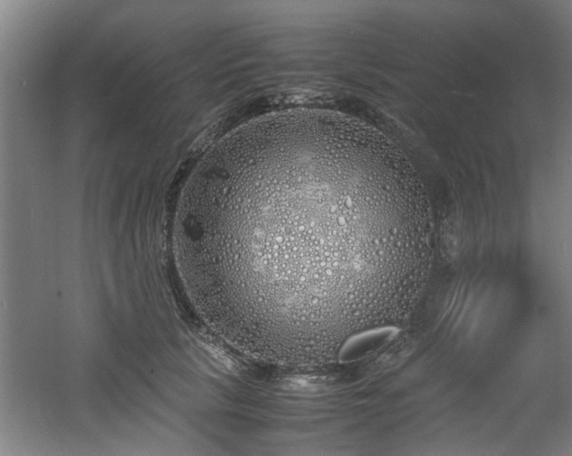 X0000060780657200511101341