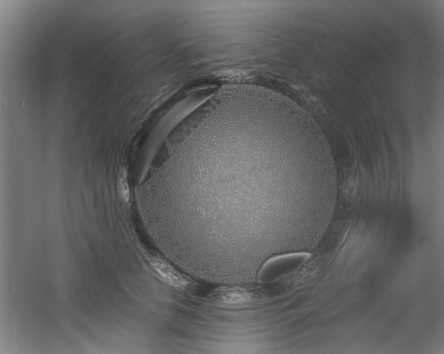 X0000060780658200511101341