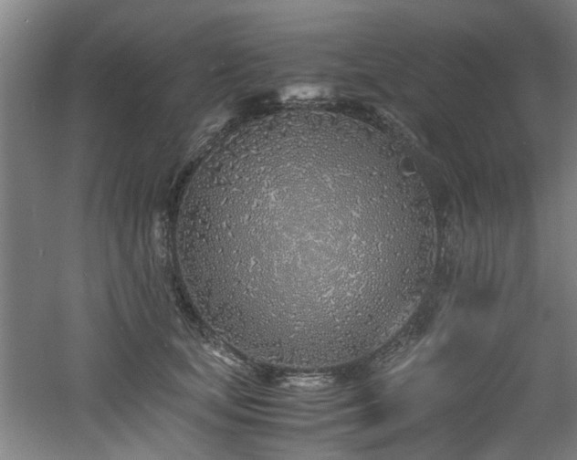 X0000060780659200511101341