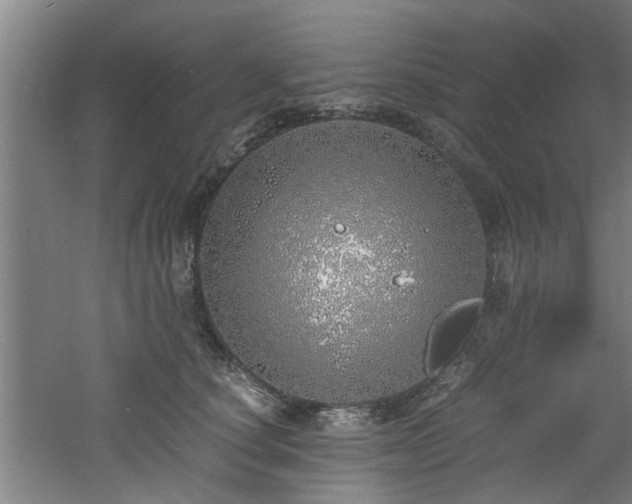 X0000060780660200511101341