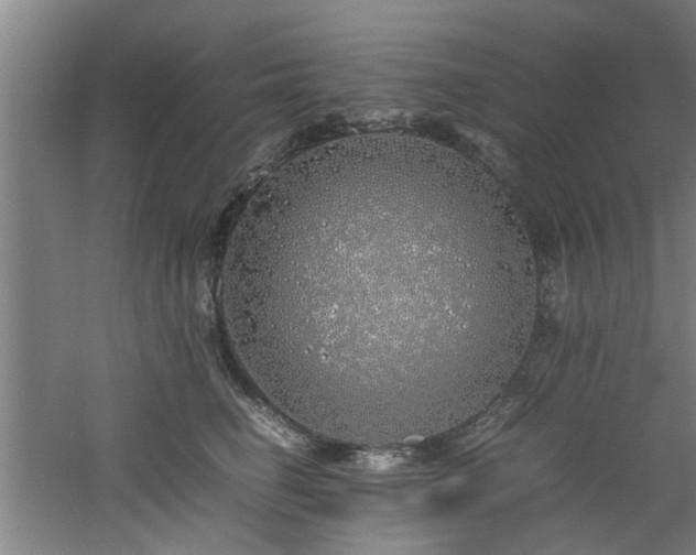 X0000060780662200511101341