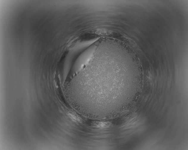 X0000060780663200511101341