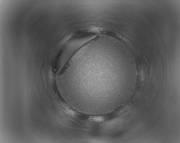 X0000060780665200511101341