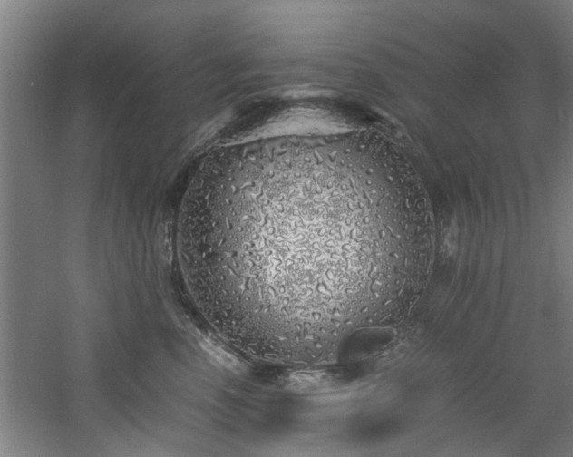 X0000060780666200511101341