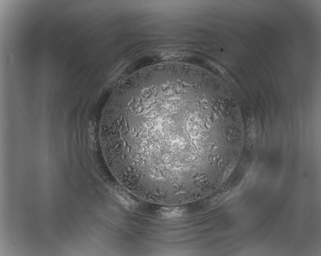 X0000060780667200511101341