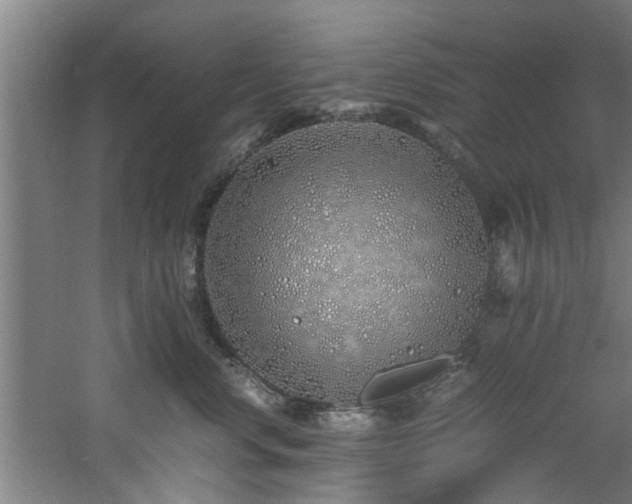 X0000060780668200511101341