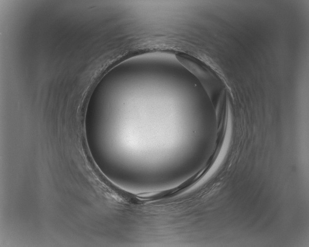 X0000060780673200511101340