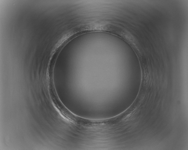 X0000060780674200511101340