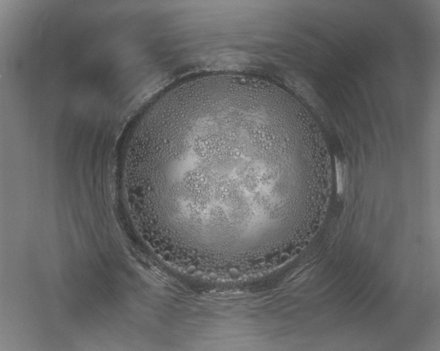 X0000060780675200511101340