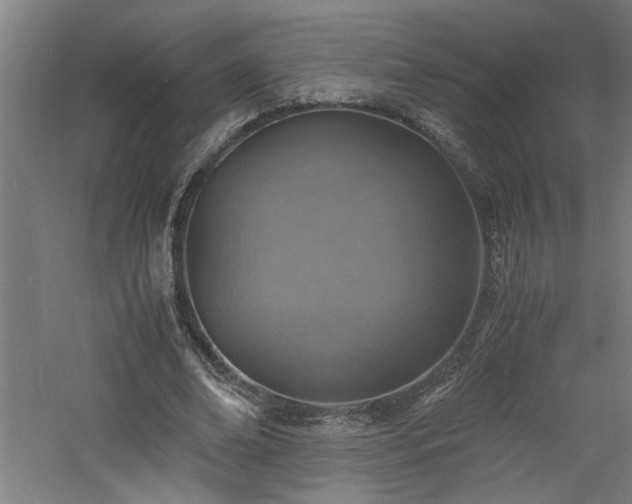 X0000060780678200511101340