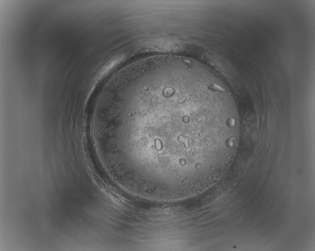 X0000060780679200511101340