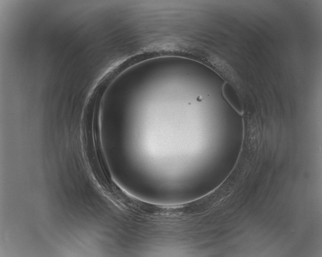 X0000060780680200511101340