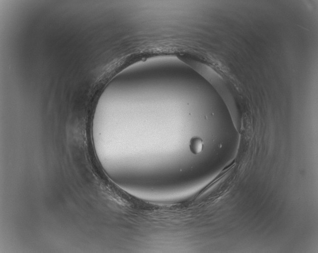 X0000060780681200511101340