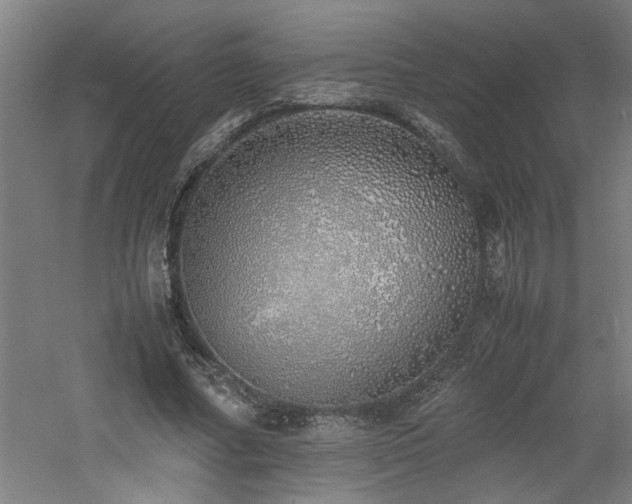 X0000060780682200511101340