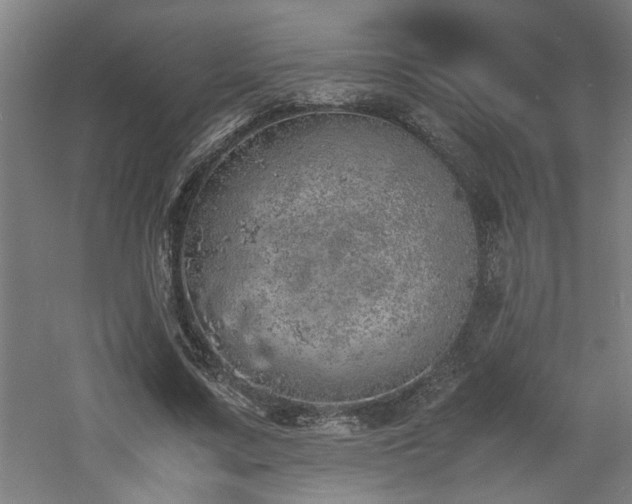 X0000060780683200511101340