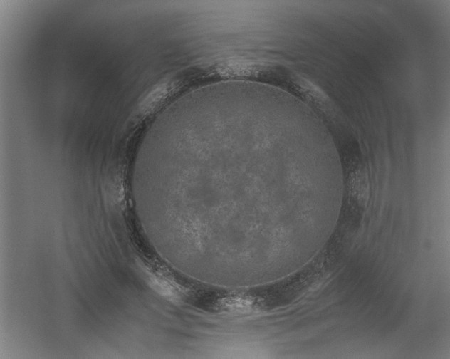 X0000060780687200511101340