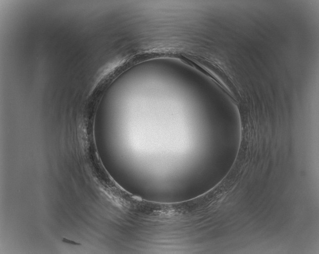 X0000060780688200511101340