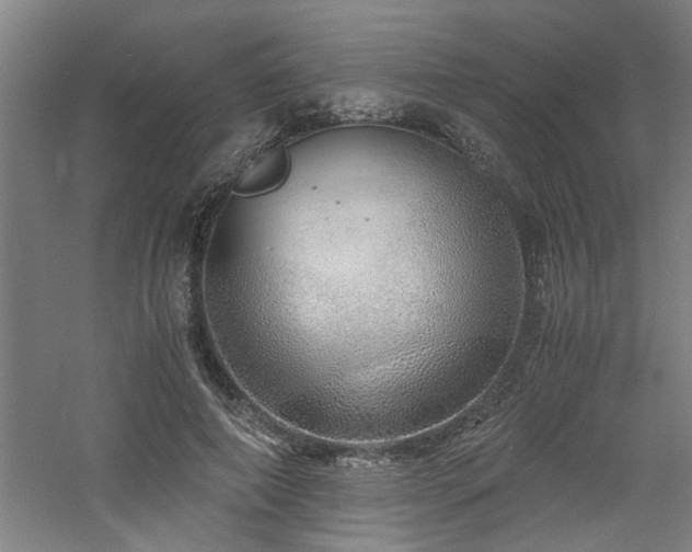 X0000060780690200511101340