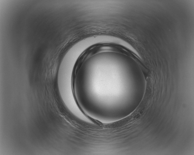 X0000060780691200511101340